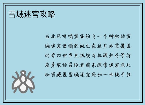 雪域迷宫攻略